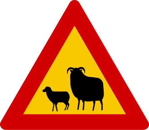 Sheep on the road road sign