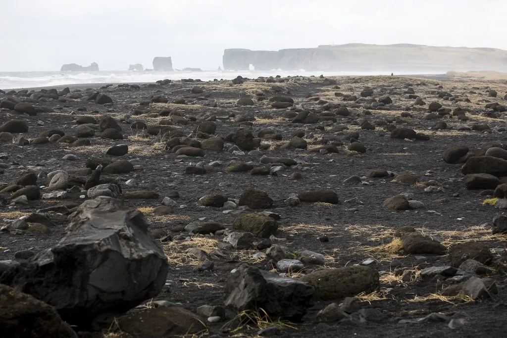Black Beach By Horseback