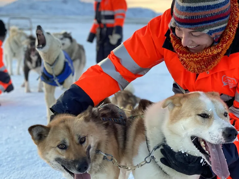 Dogsledding Iceland