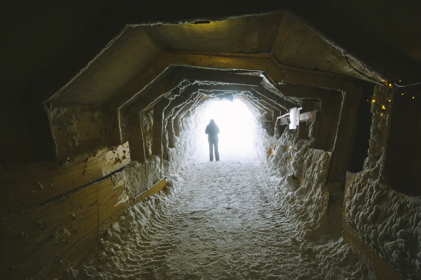 Into the Glacier