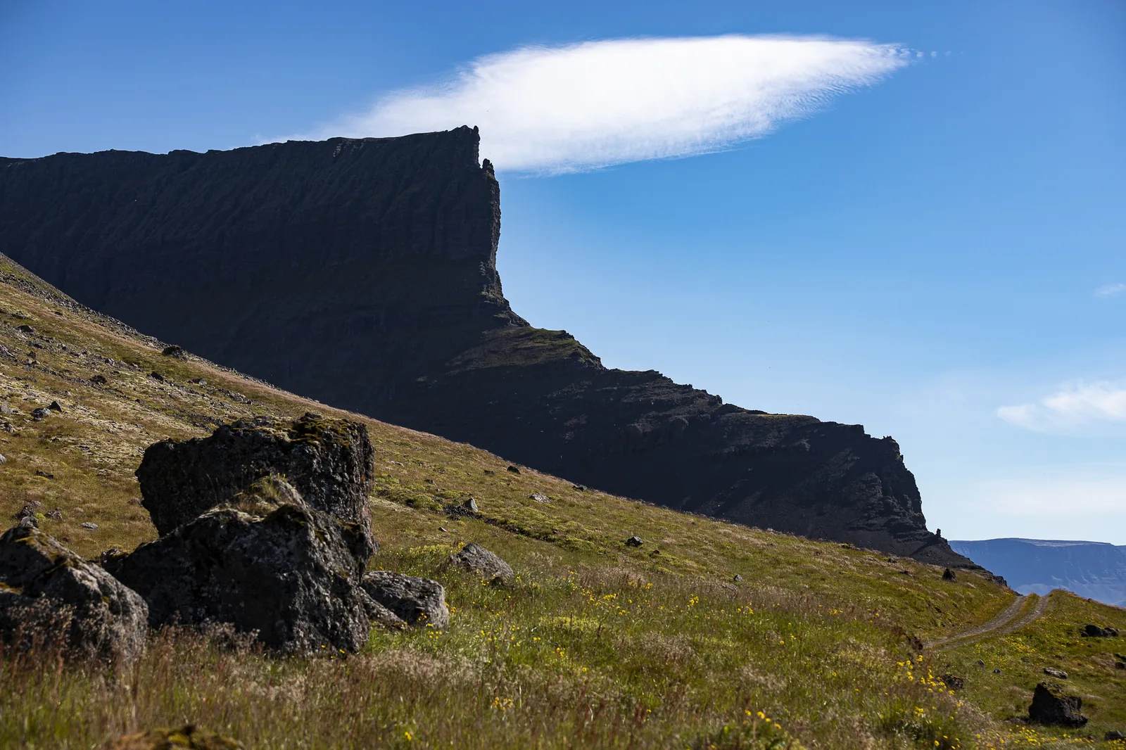 Kaldbakur