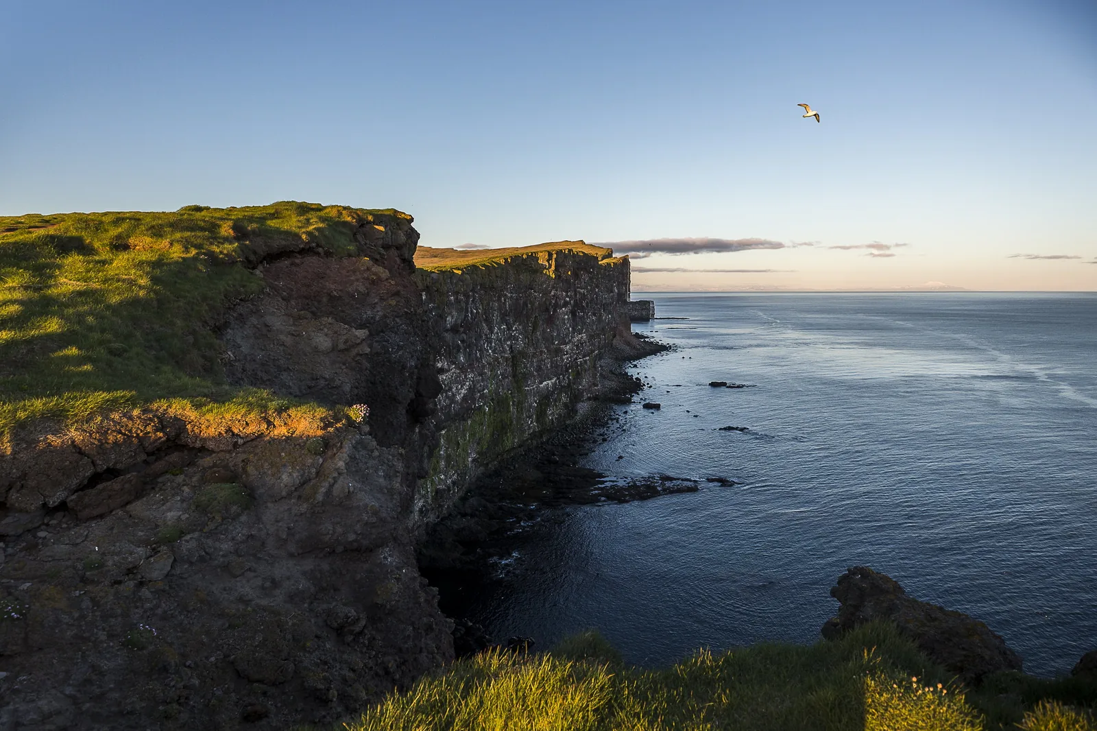 Látrabjarg Bird Cliffs