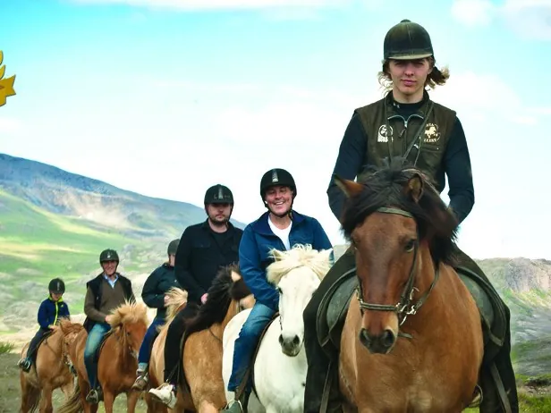 Laxnes Horse Farm