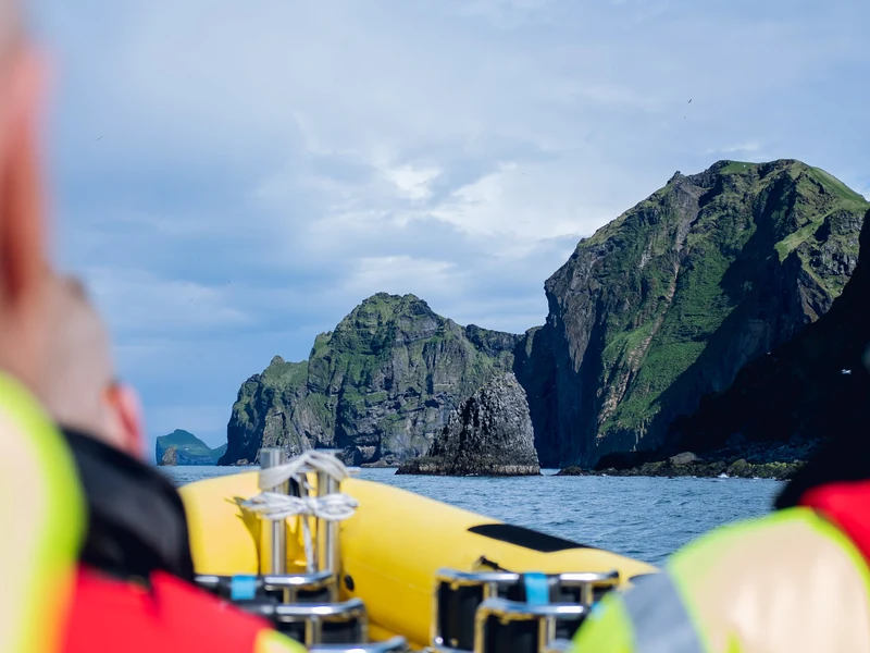 Rib Safari Vestmannaeyjar