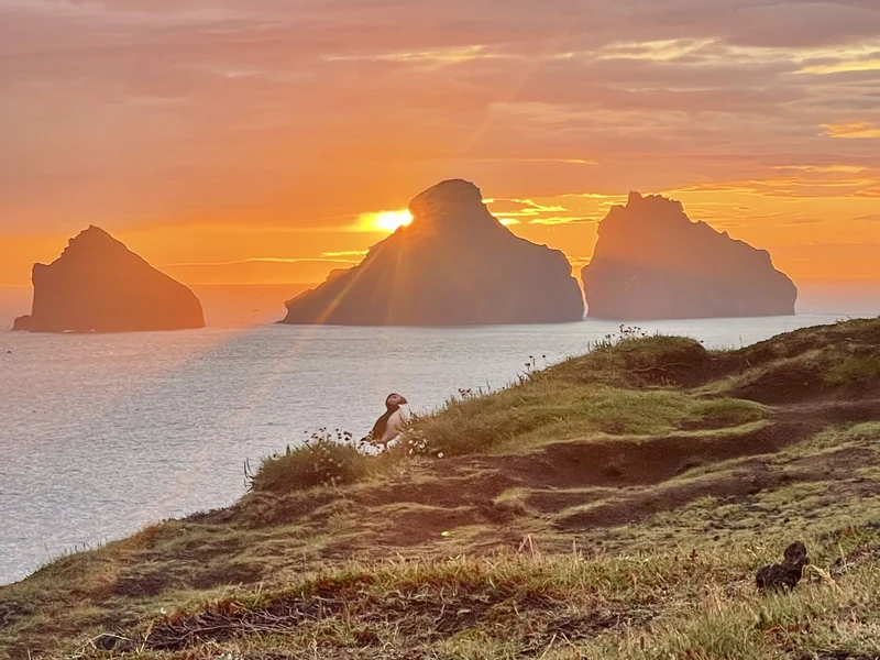 Vestmannaeyjar